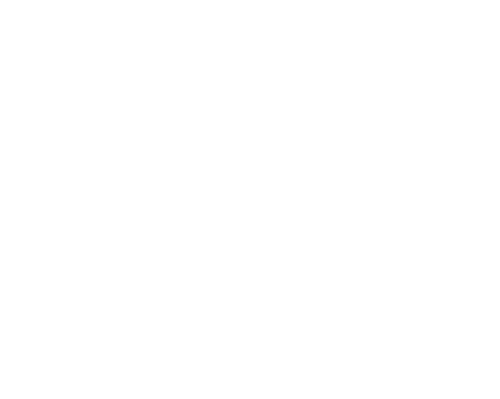 Architekt Vogt